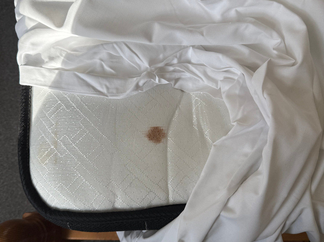 The Dorset Inn主图