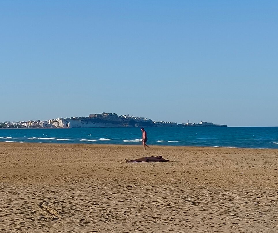Spiaggia di Portonuovo-维耶斯泰必去景点