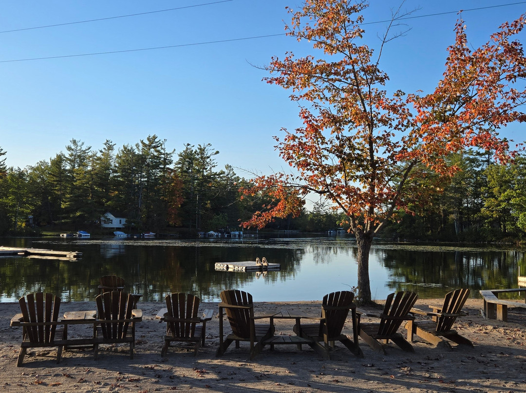 Pine Vista Resort主图