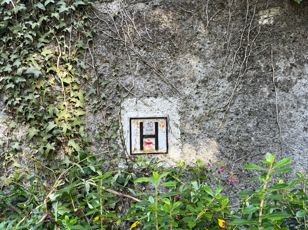 Howth Castle And Estate-霍斯必去景点