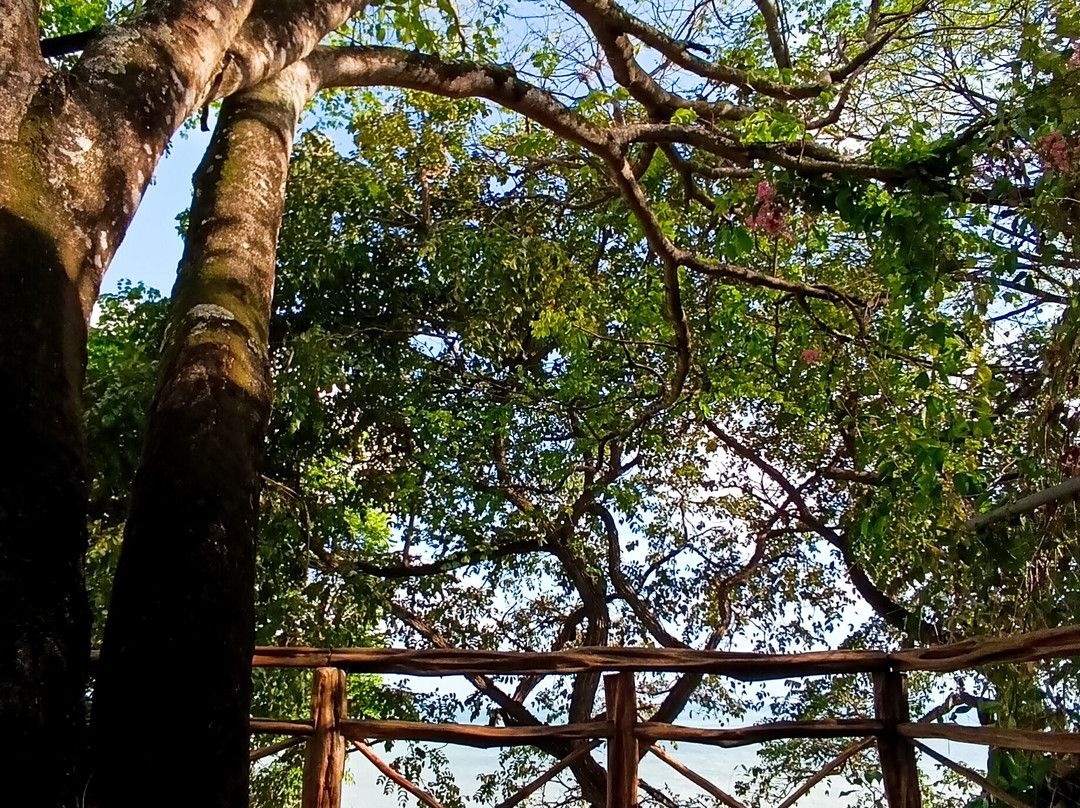 Pousada La Bonita主图