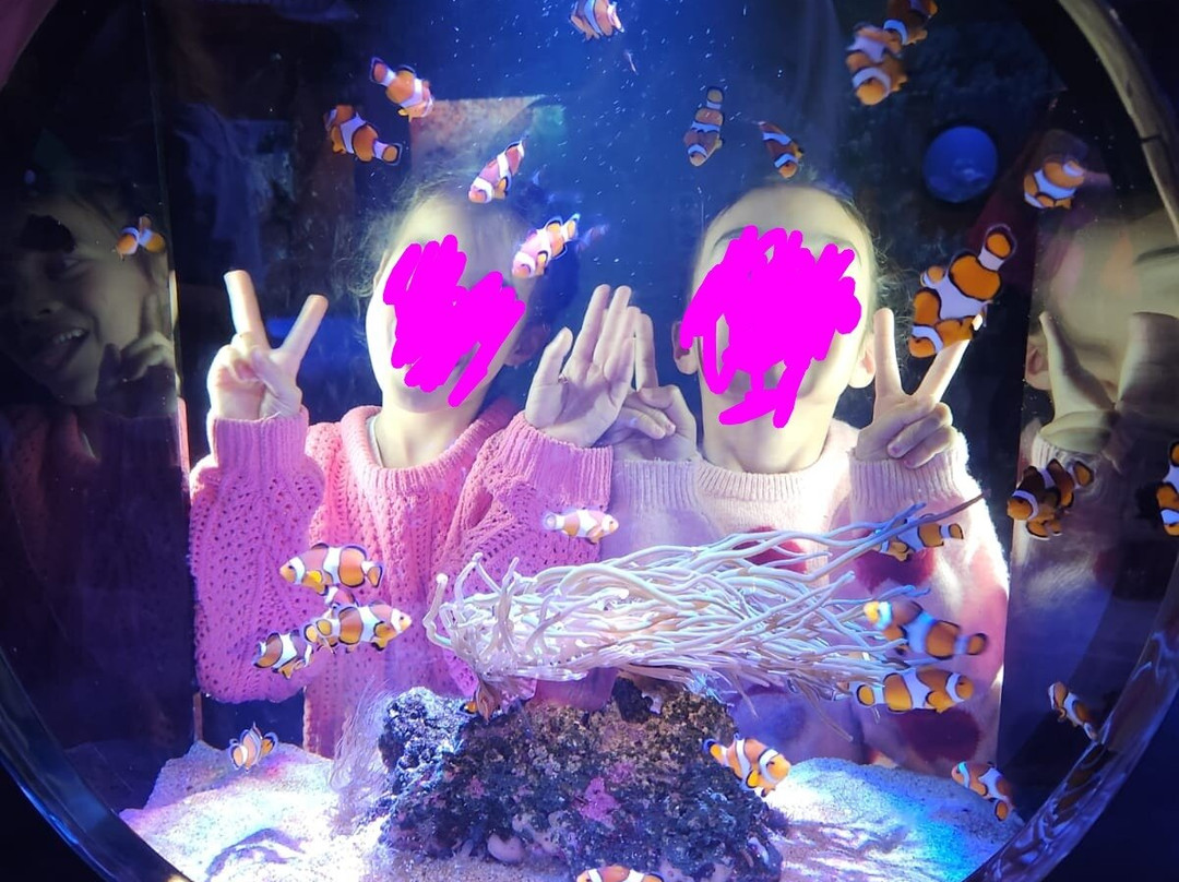 AQWA The Aquarium Of Western Australia-拉瑞斯必去景点