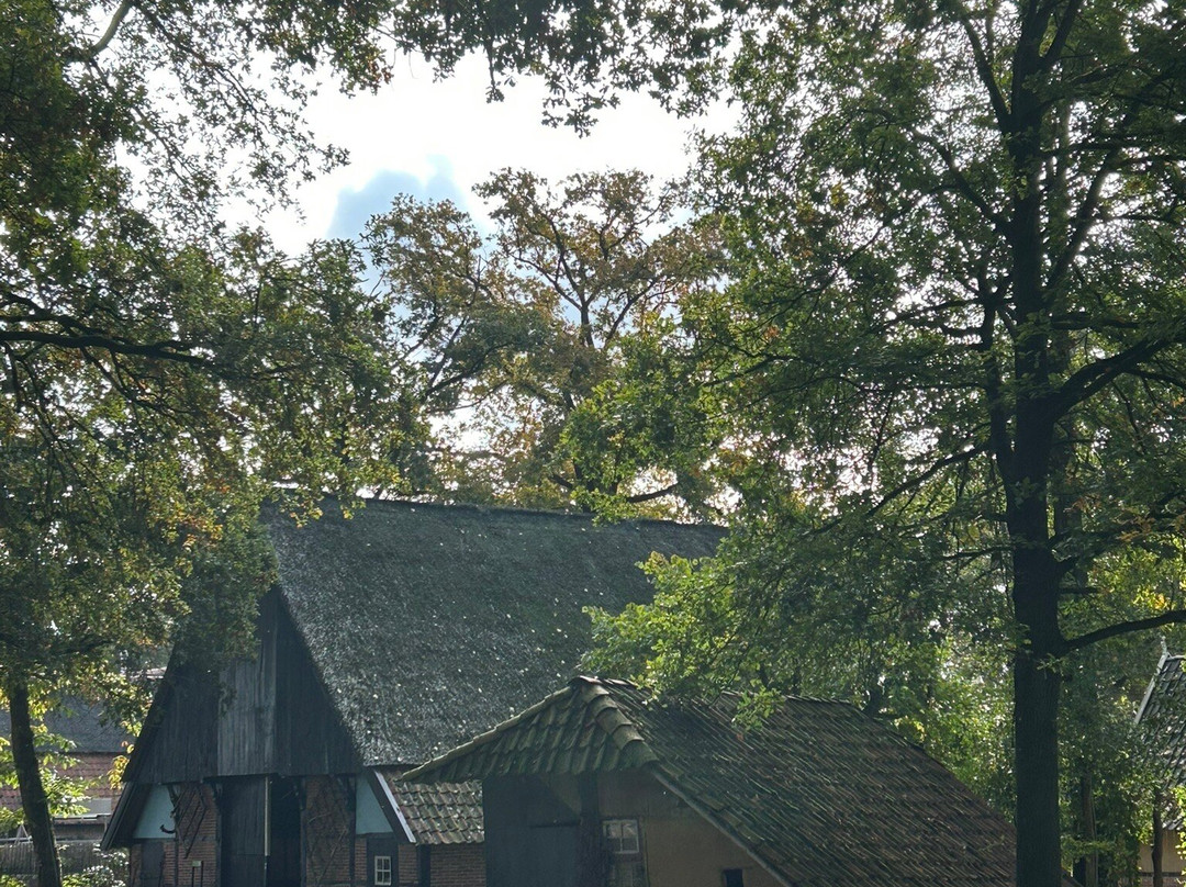 Erve Kots-Lievelde必去景点