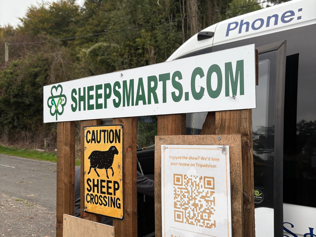 Sheep Smarts-Rathdrum必去景点