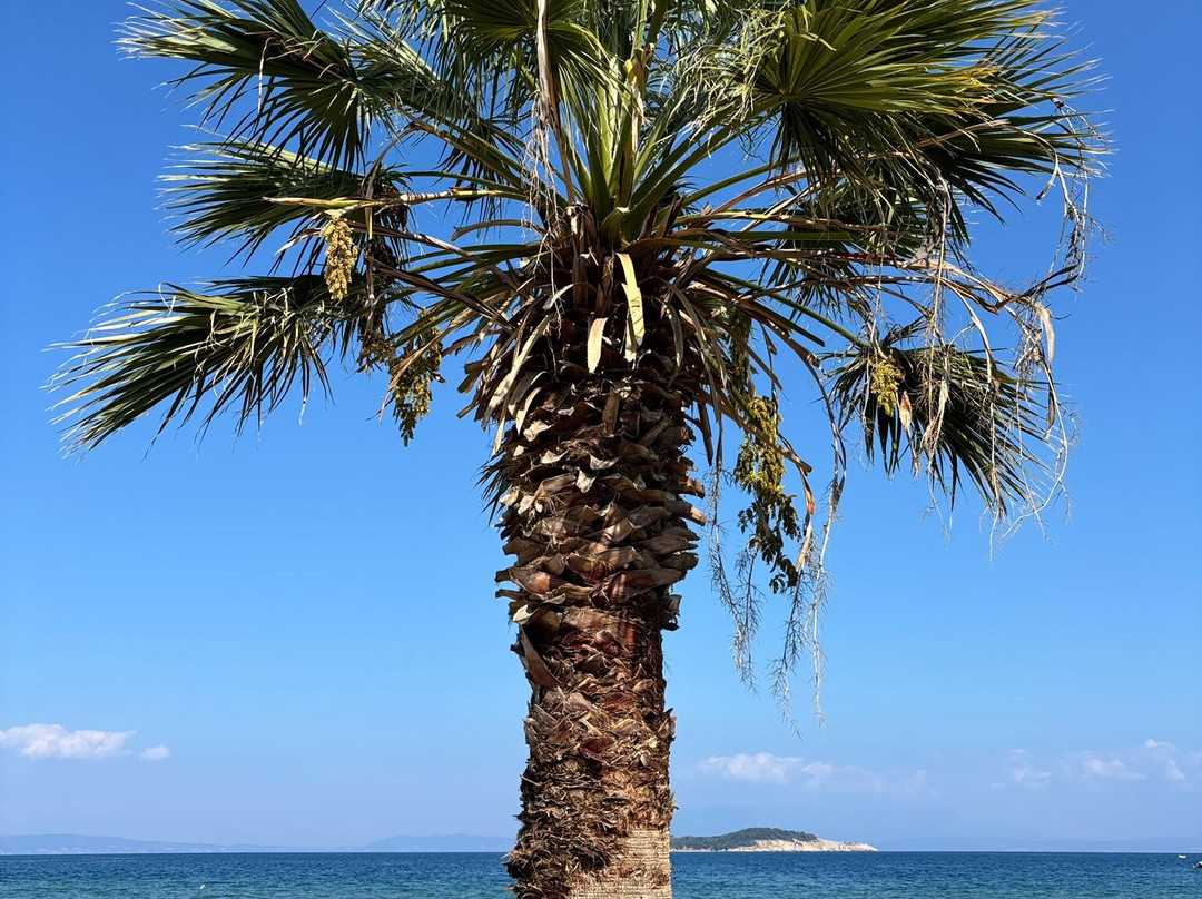 Aristotelis Road Trip-Ierissos必去景点