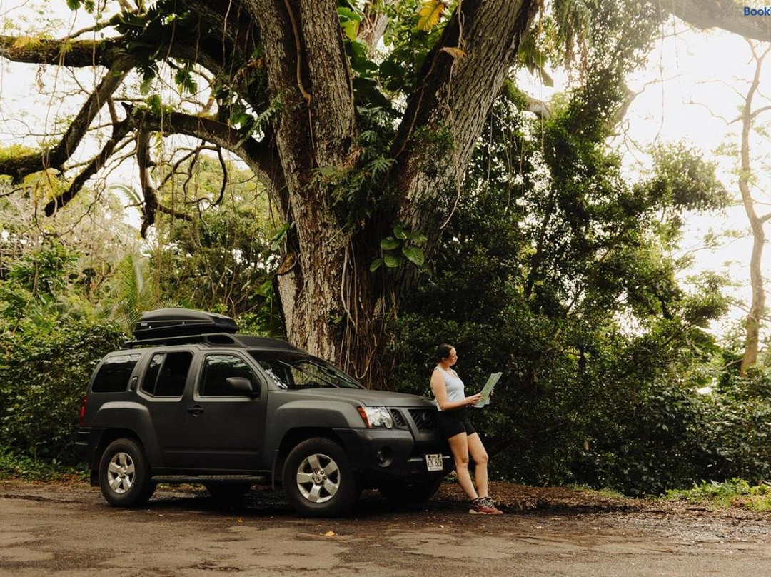 Budget Hack Maui Suv Camping