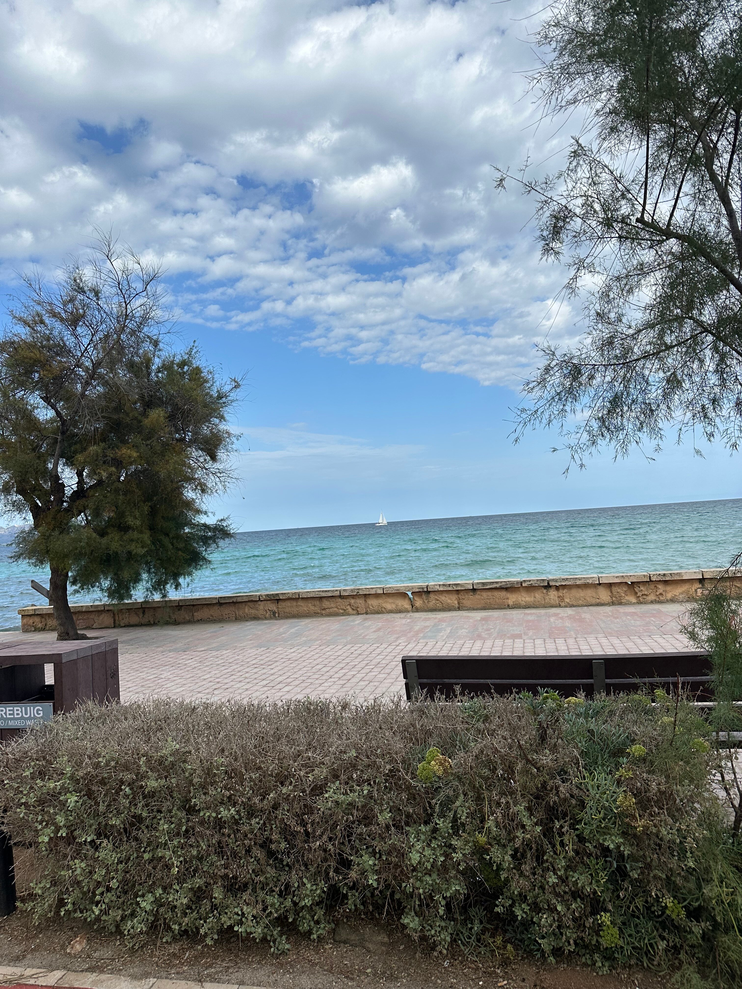 斯蒂尔盆景酒店-官方