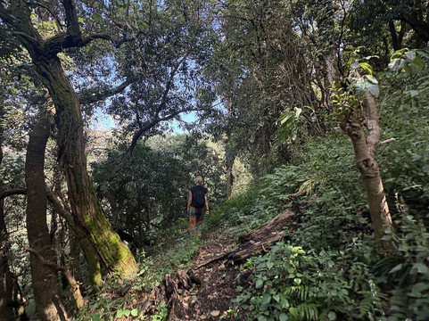 Scrambling Adventures and Outdoors-马苏里必去景点