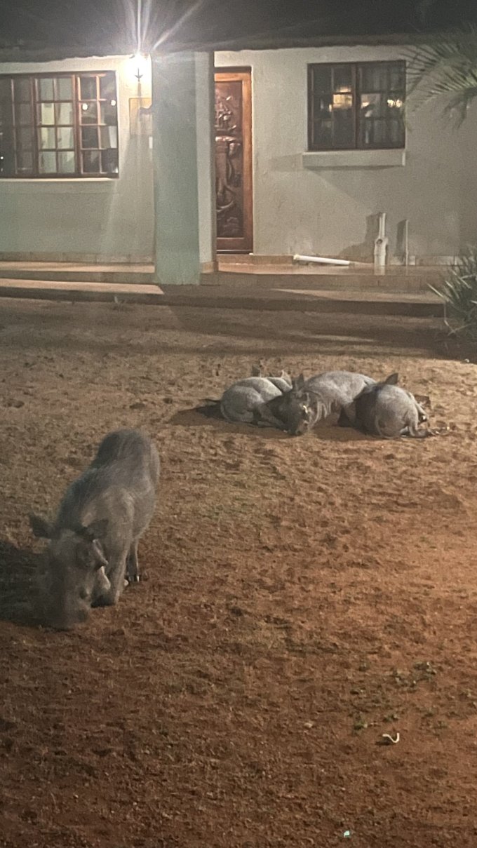 皇家克鲁格旅舍-浴室