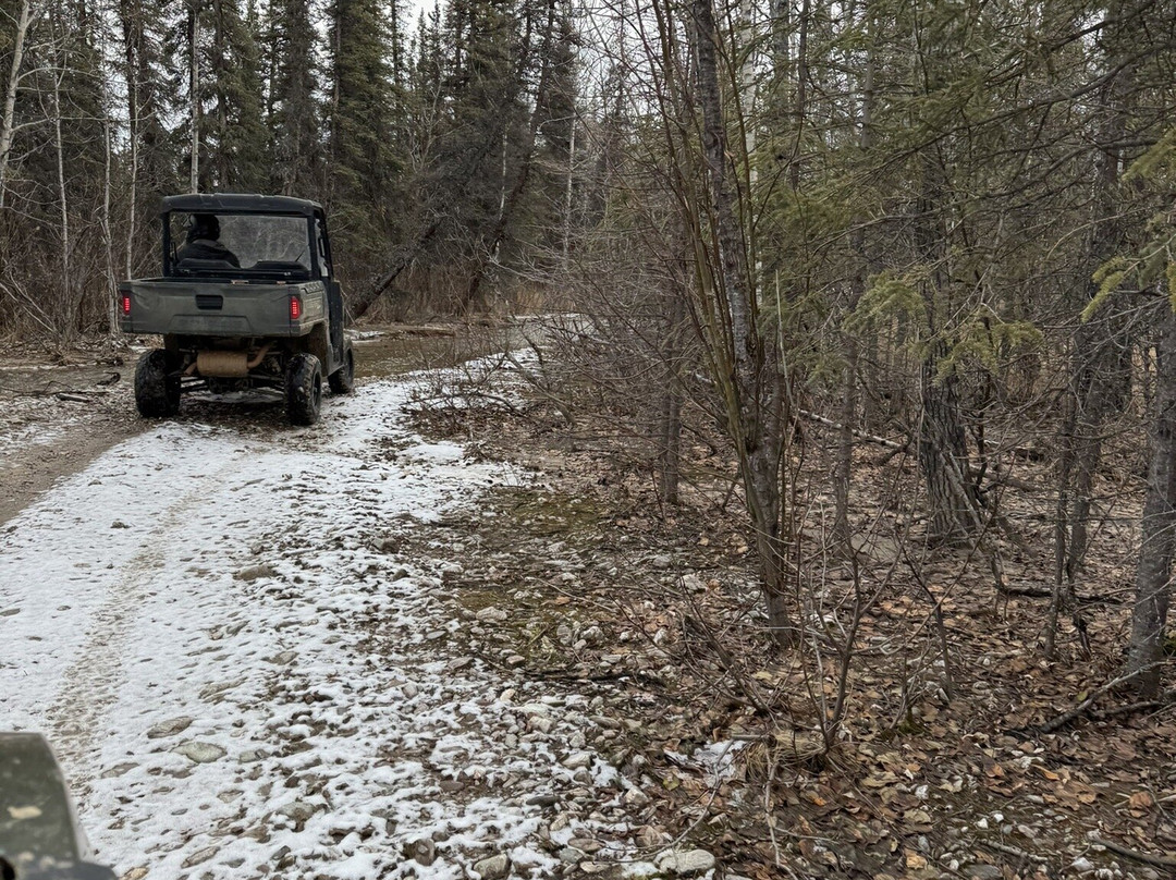 Black Diamond ATV Tours-德纳利国家公园和自然保护区必去景点