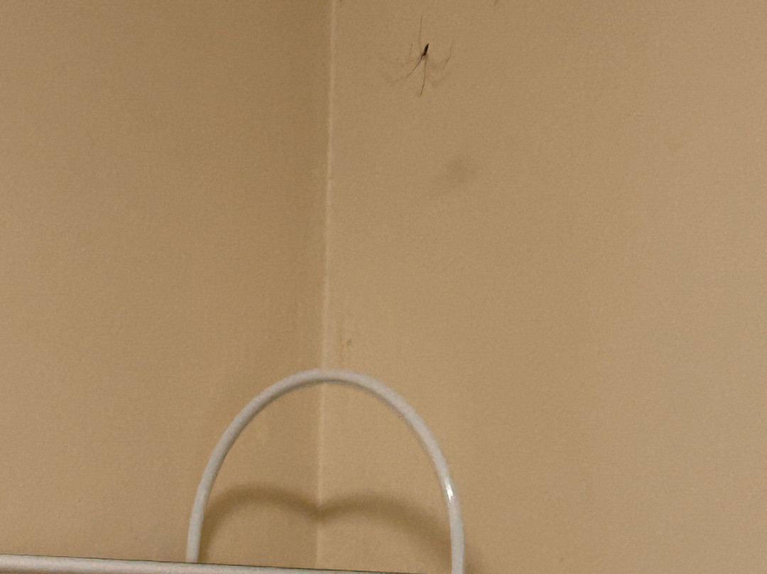 The Falls Motel主图