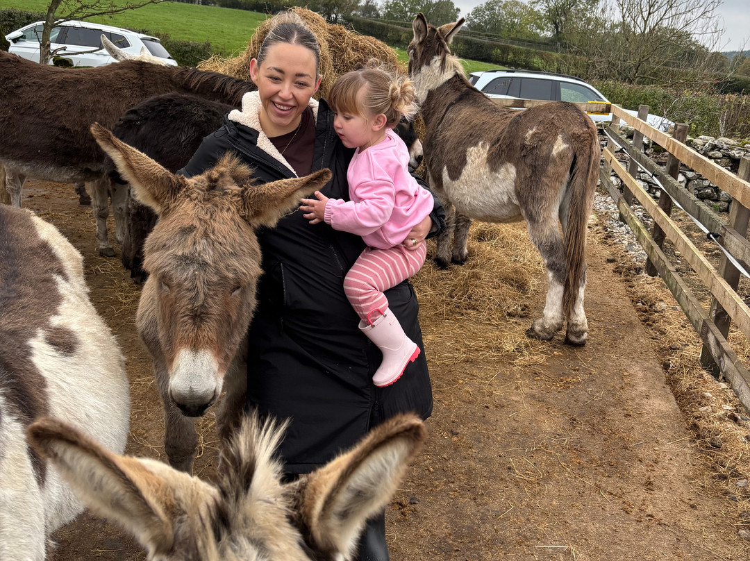 Barnhill Donkeys Retreat Sleagill-Sleagill必去景点