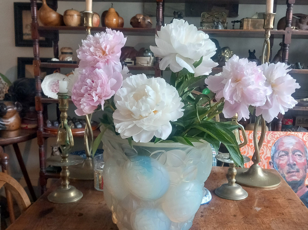 Sauna In The Lanes-布莱顿必去景点