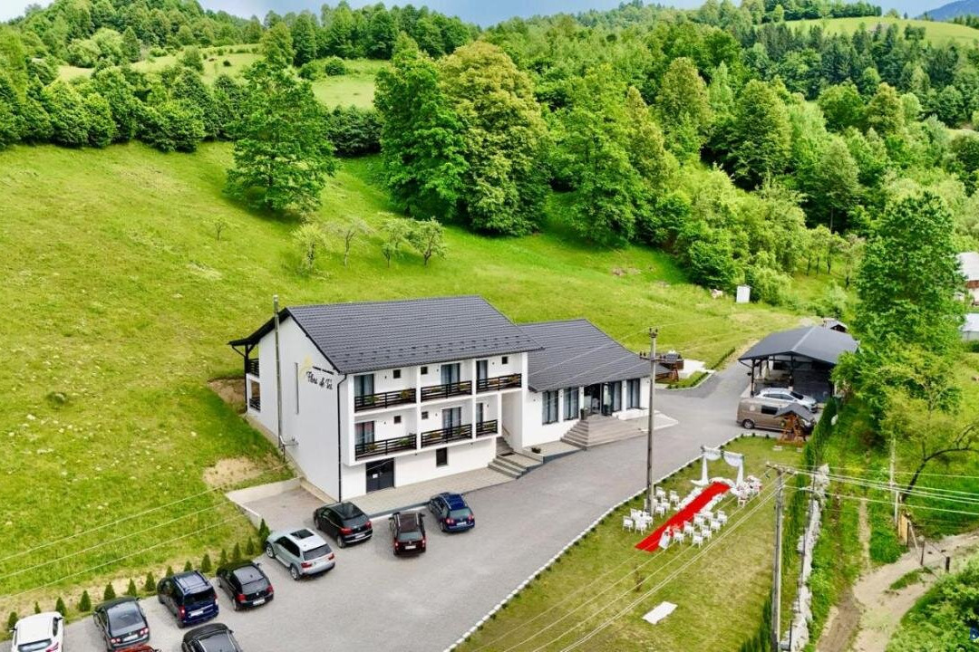 Flori de Tei Maramures
