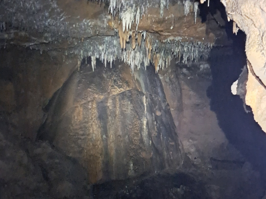 cuevas y minas de udías La Mandrágora-Udias必去景点