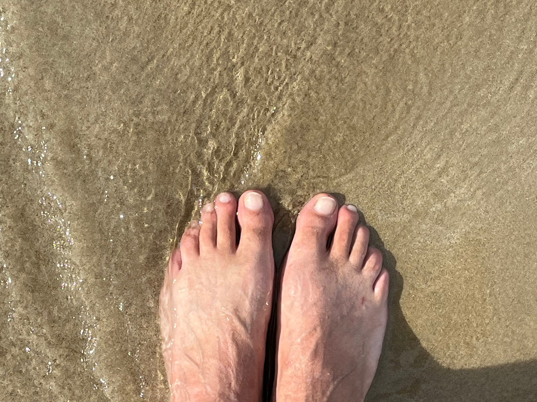 Apollo Bay Beach-阿波罗湾必去景点