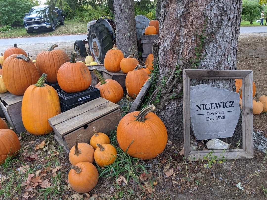 Nicewicz Family Farm-Bolton必去景点