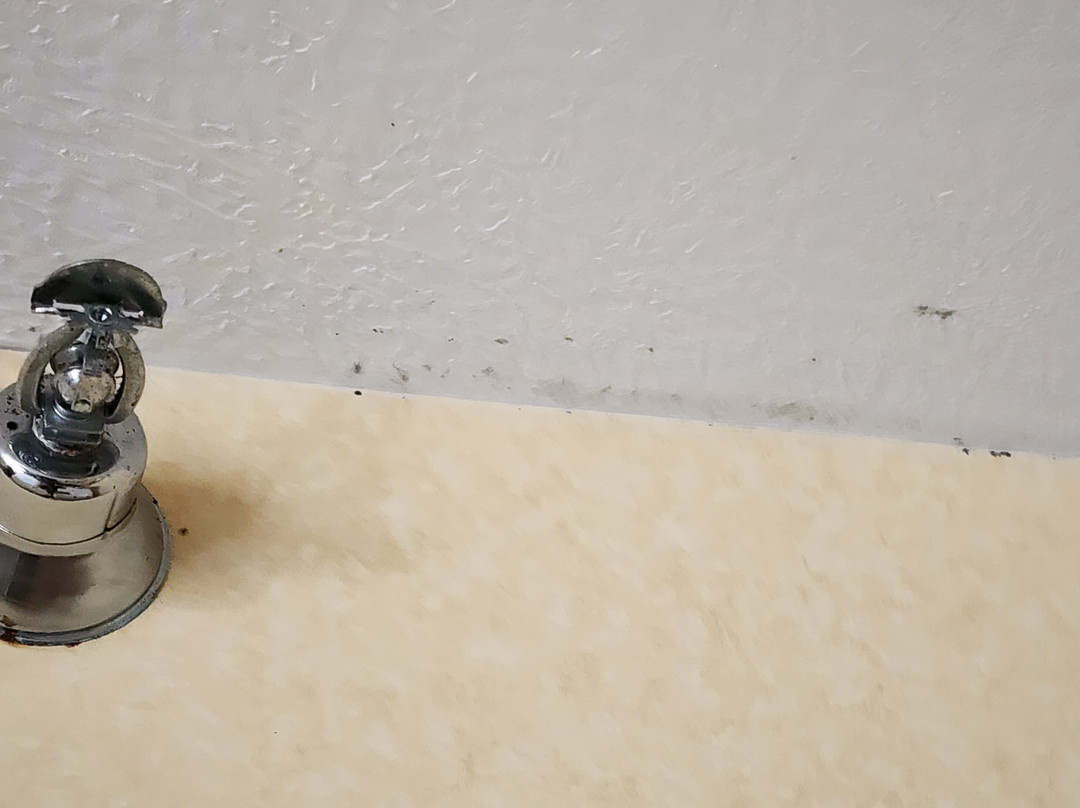 Juniper Hill Inn主图