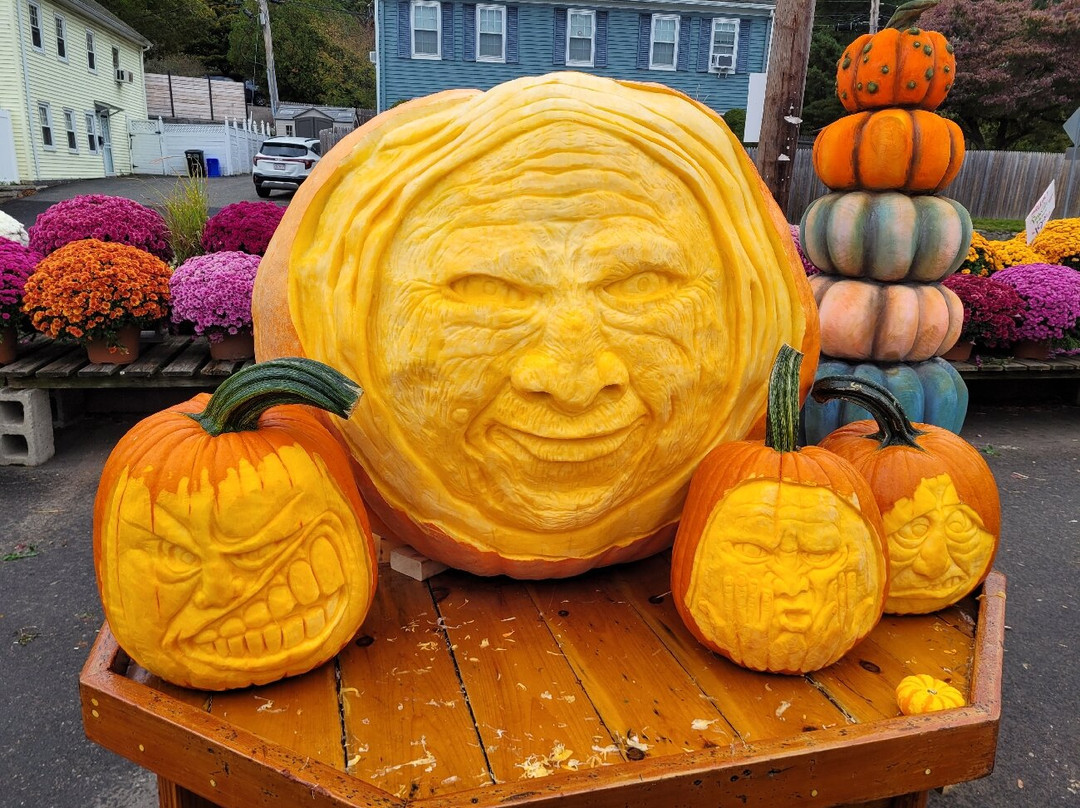 Wilson Farm-列克星敦必去景点