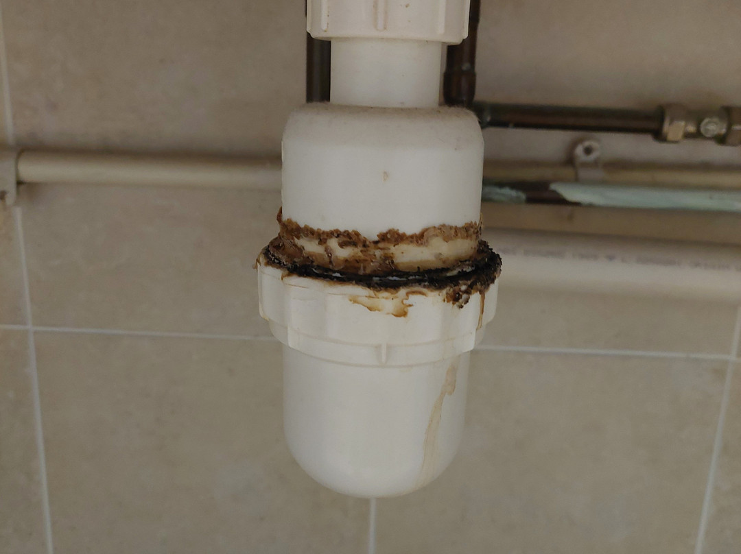 Staverton Park Hotel & Golf Club主图