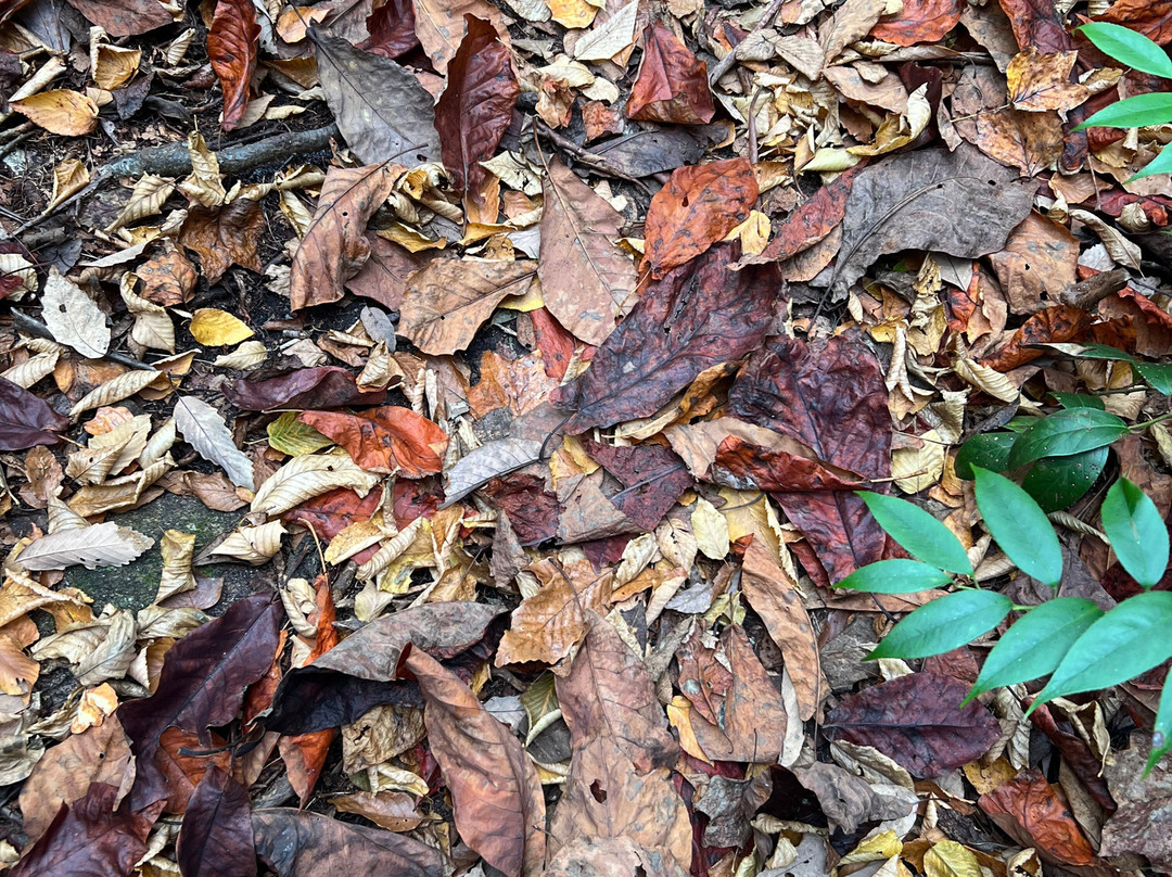 Highlands Outpost-Scaly Mountain必去景点