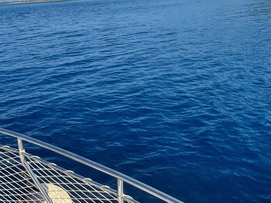 Jerry's Daily Boat Trip-费特希耶必去景点