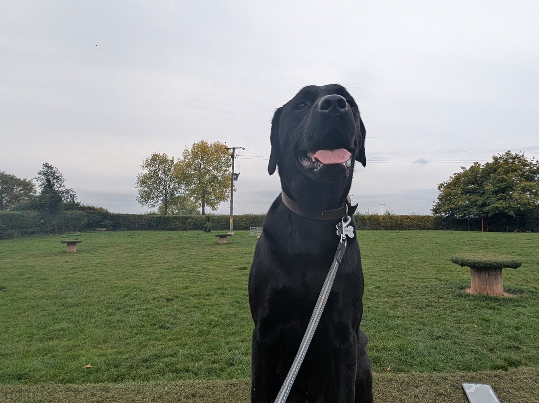 Snoopys Dog Park-Newent必去景点