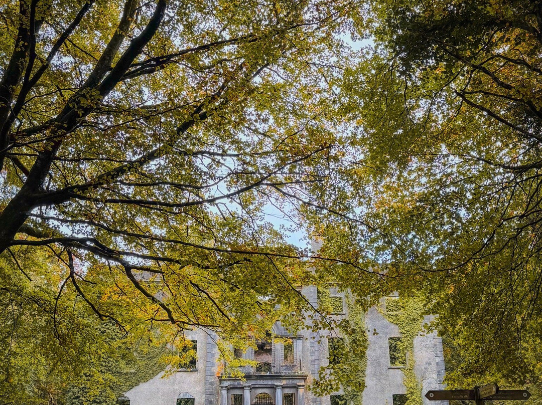 Moore Hall-County Mayo必去景点