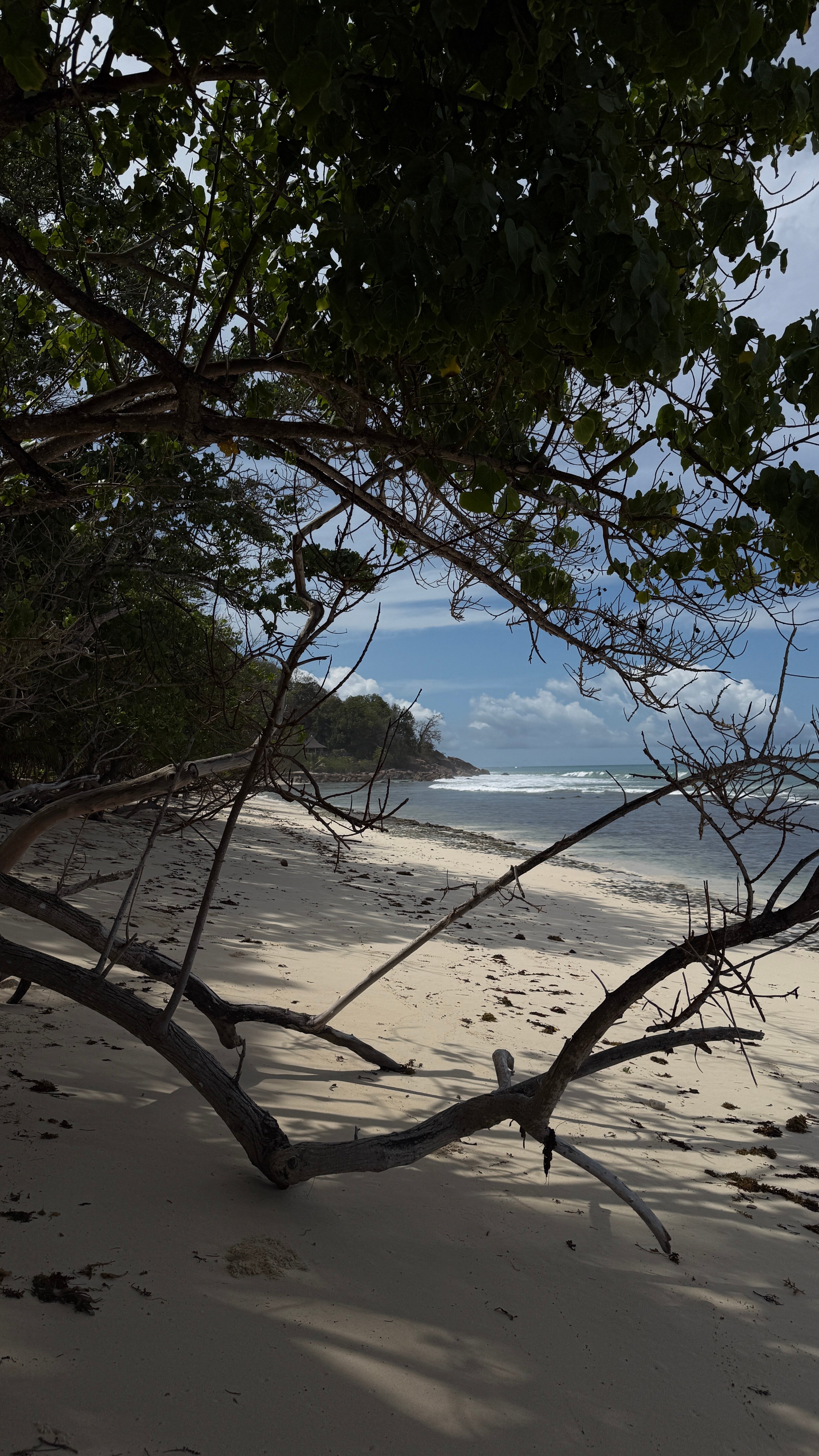 康斯丹蕾沐莉亚度假酒店-泳池