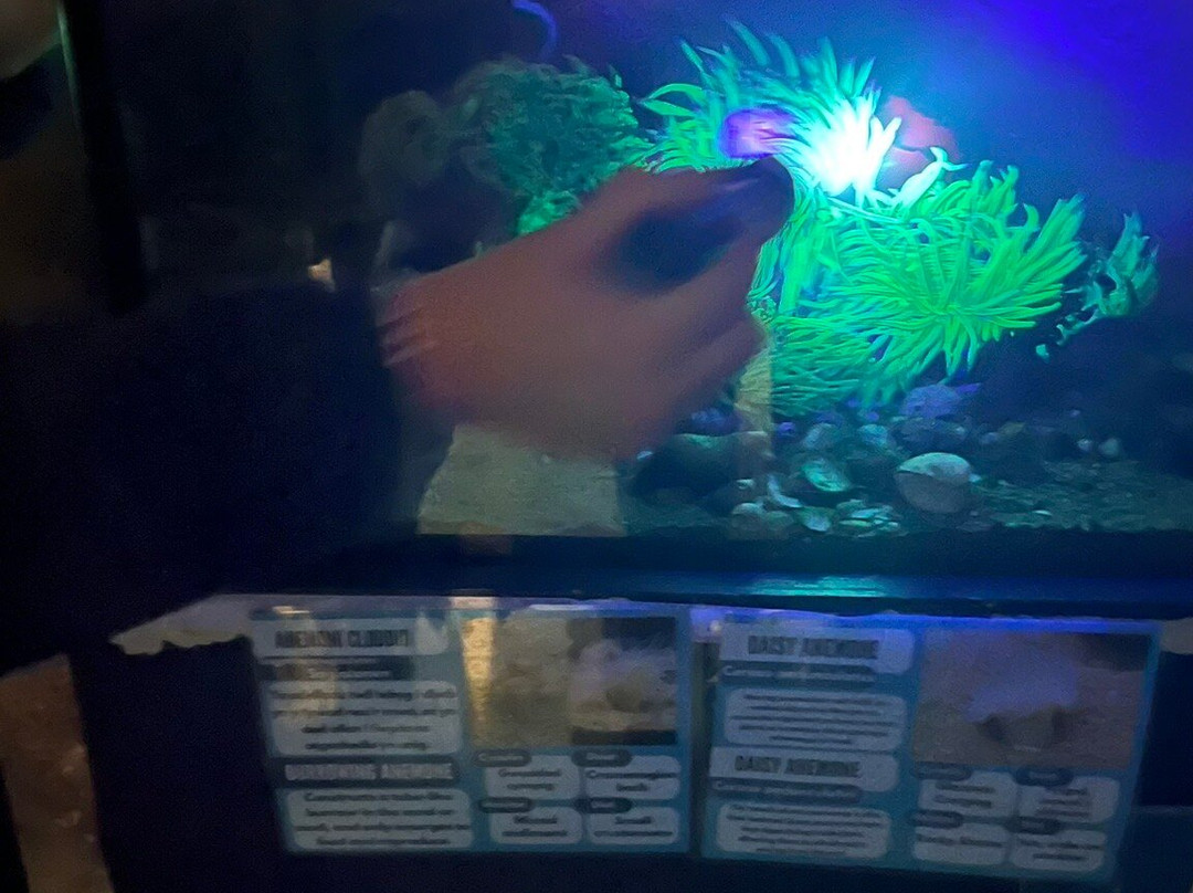 Ocean Lab - Sea Trust Wales-Goodwick必去景点