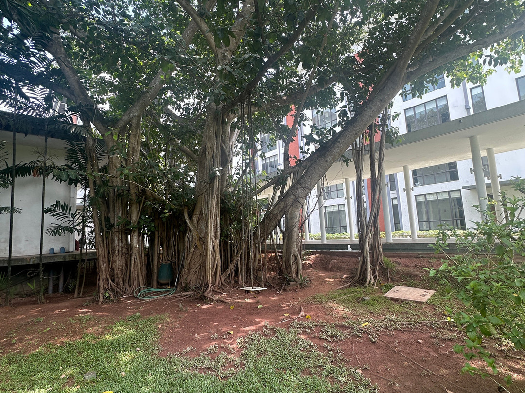 科伦坡机场花园网关酒店主图