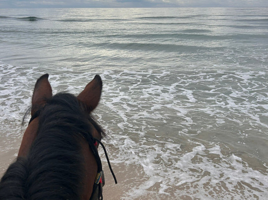 Izzy Rides CR-旧港必去景点