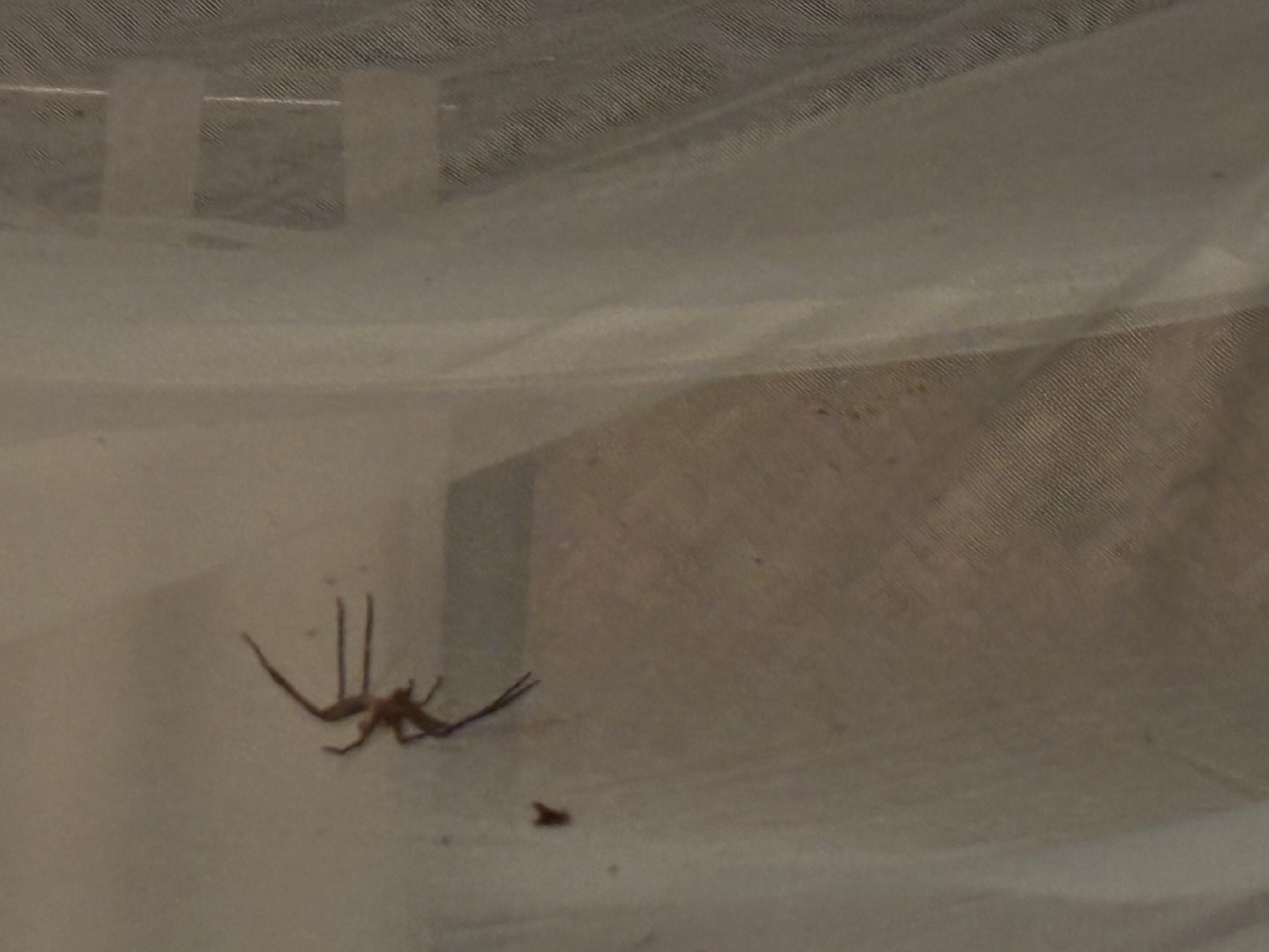 哈夫洛克赤脚酒店-官方