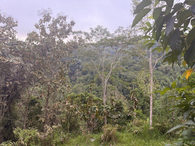 Leke Leke Waterfall-巴图瑞提必去景点