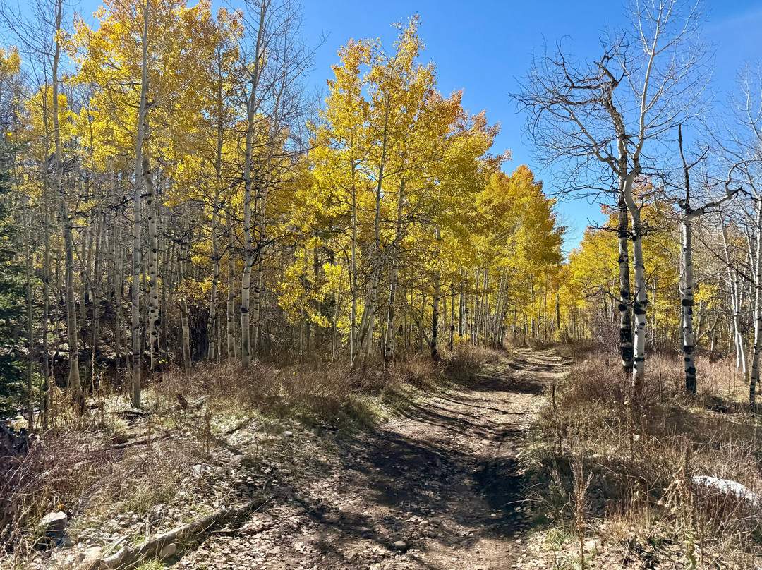 North Forty Escapes-Oakley必去景点