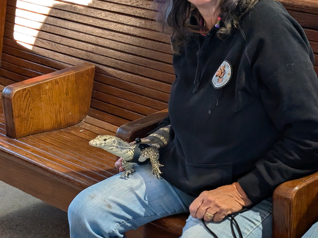 Infinity Acres Petting Ranch-Ridgeway必去景点