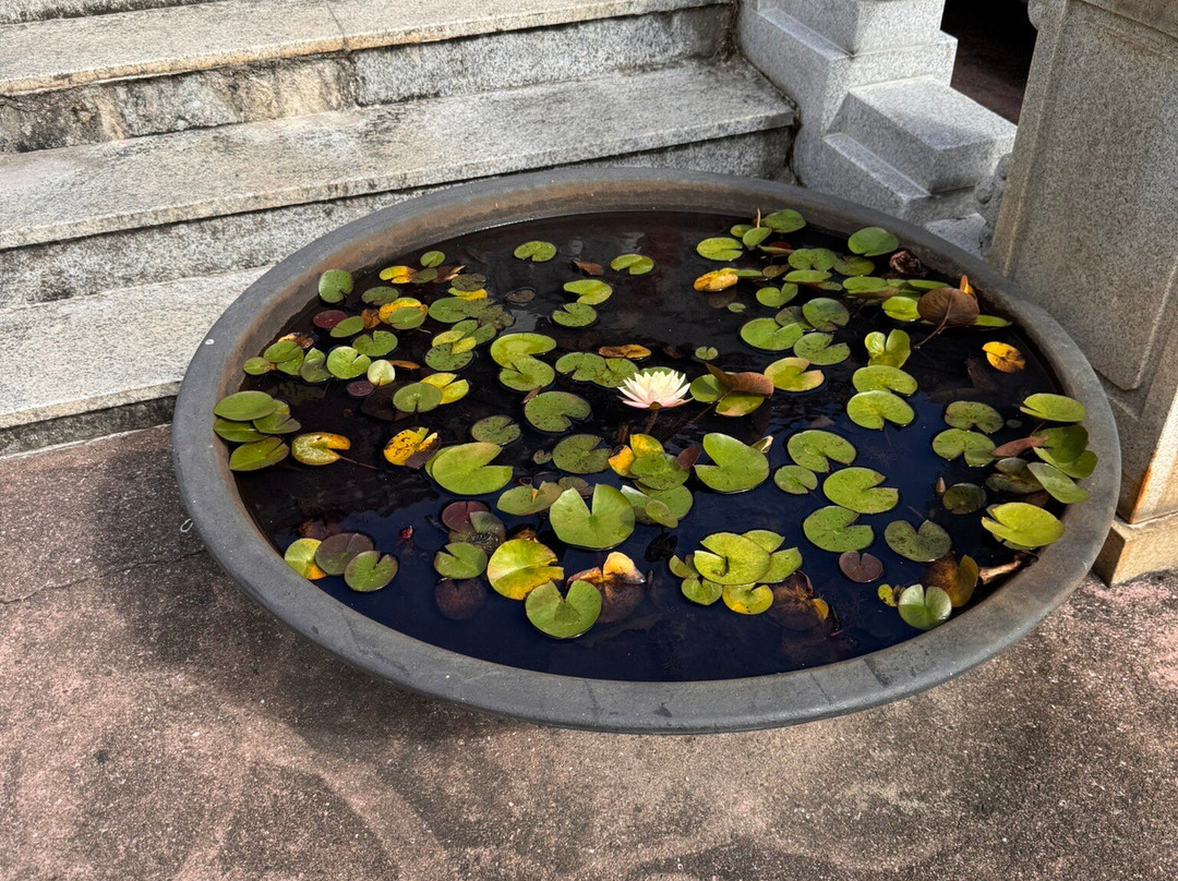 Yakcheonsa Temple-西归浦市必去景点