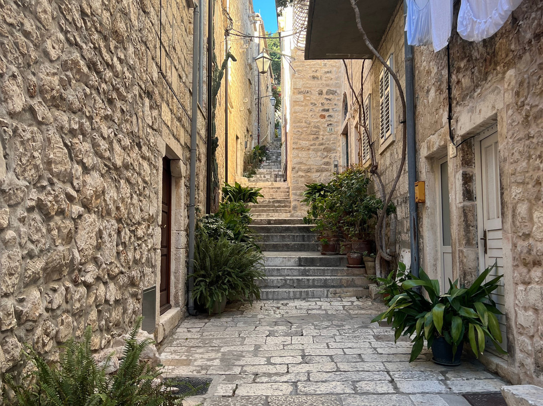 TrulyCroatia Tours-扎达尔必去景点