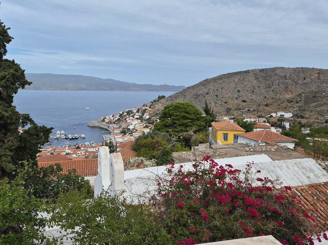 Harriets Hydra Horses-Hydra Town必去景点