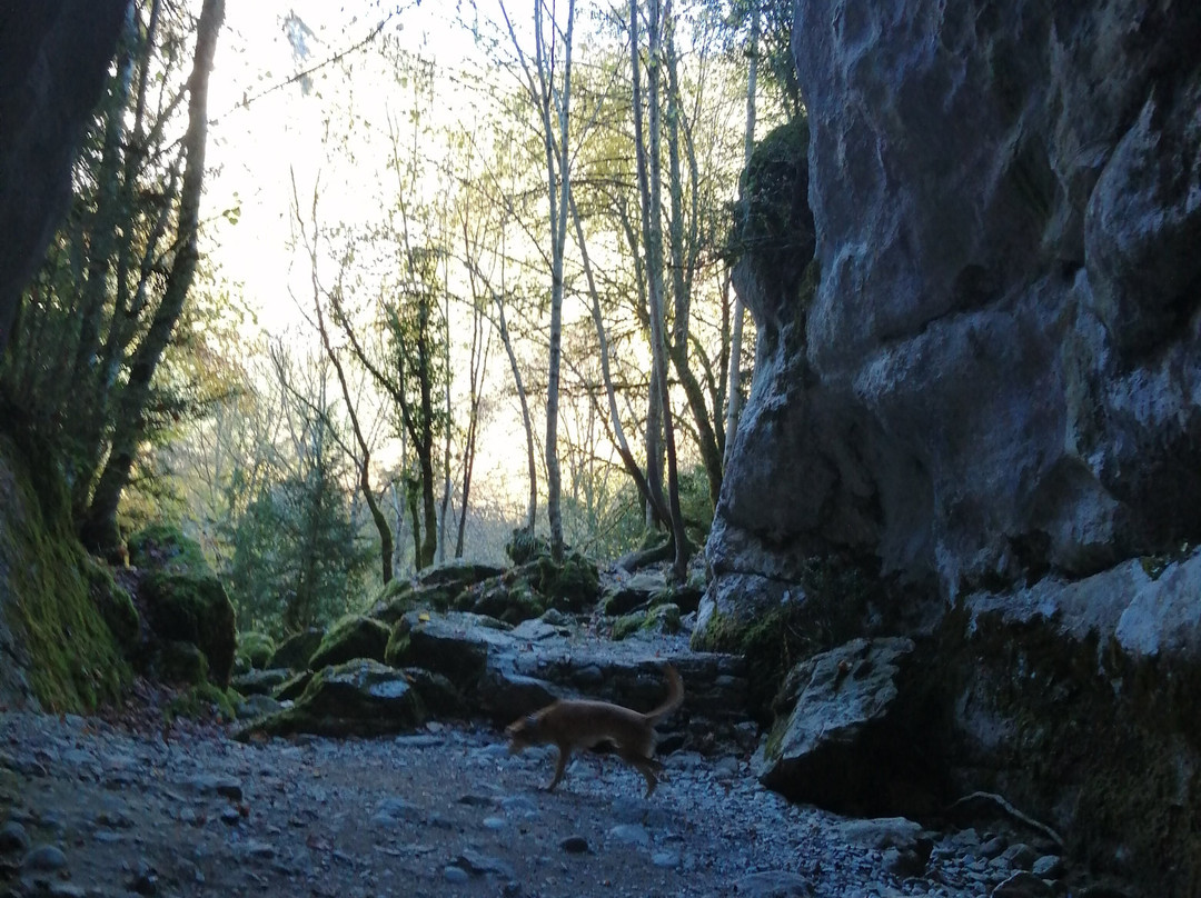 SNÖ Isaba Hotel & Apartments主图