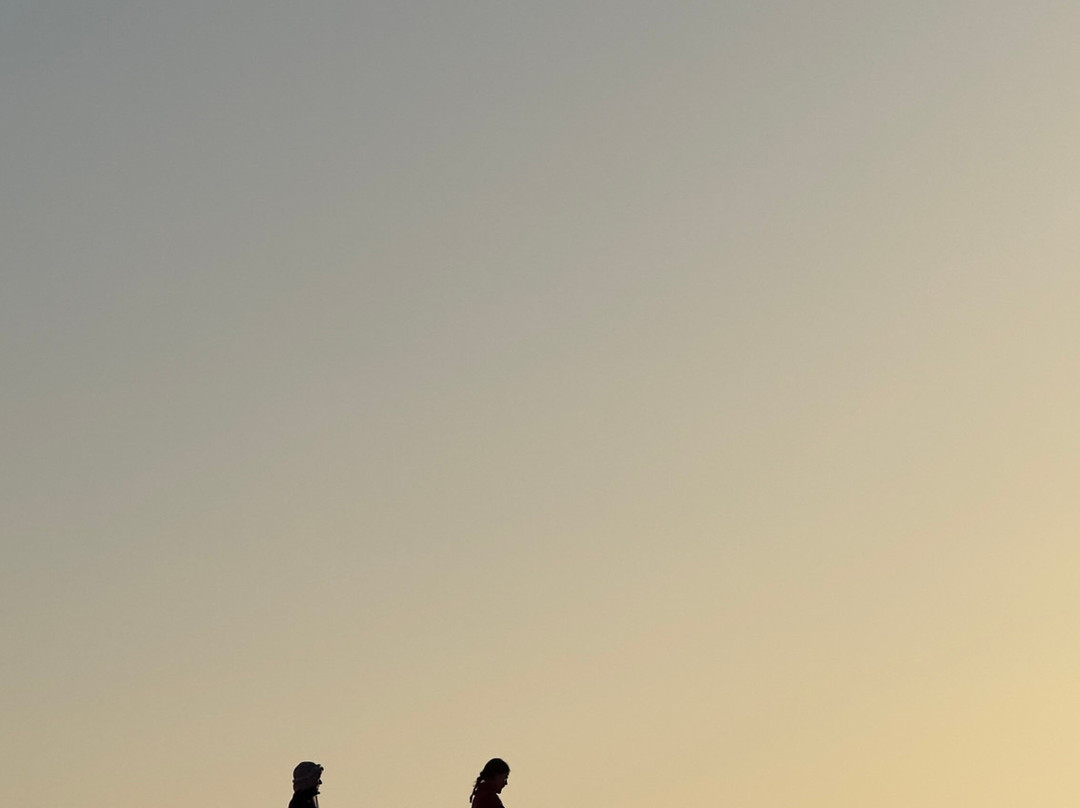 Saharies-马拉喀什必去景点