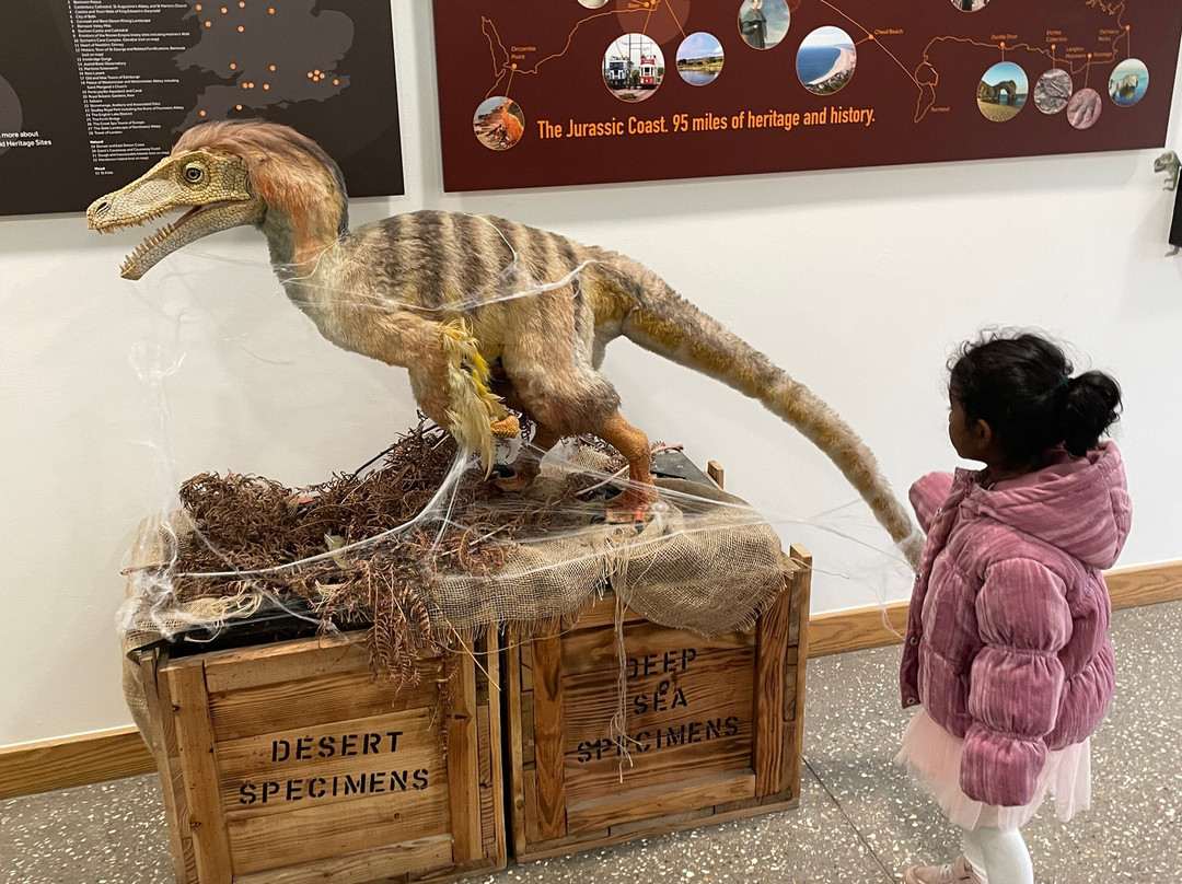 Jurassic Discovery-Seaton必去景点