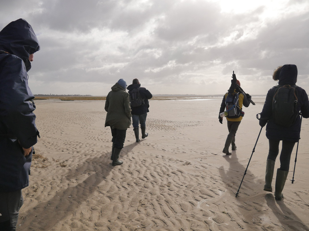 Maxim Guide Baie de Somme-Boismont必去景点