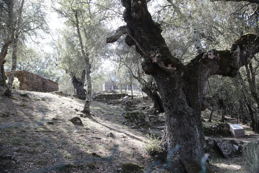 Le village des tortues-Moltifao必去景点