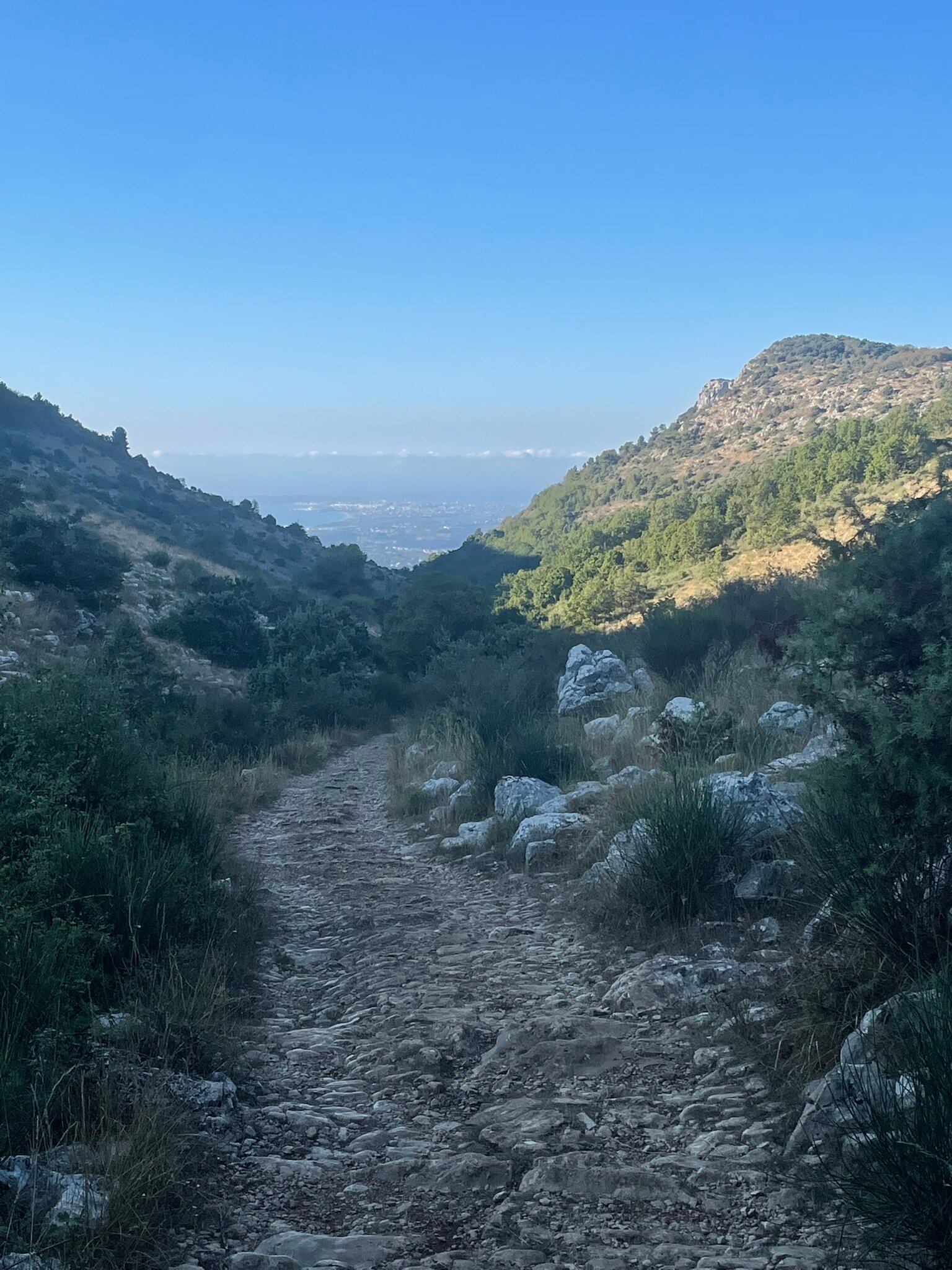 The Frogs' House-官方