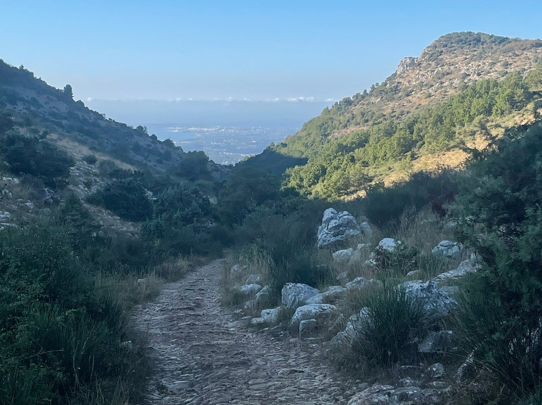 The Frogs' House主图