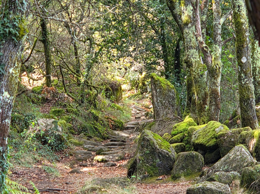 Keen Tours-波尔图必去景点