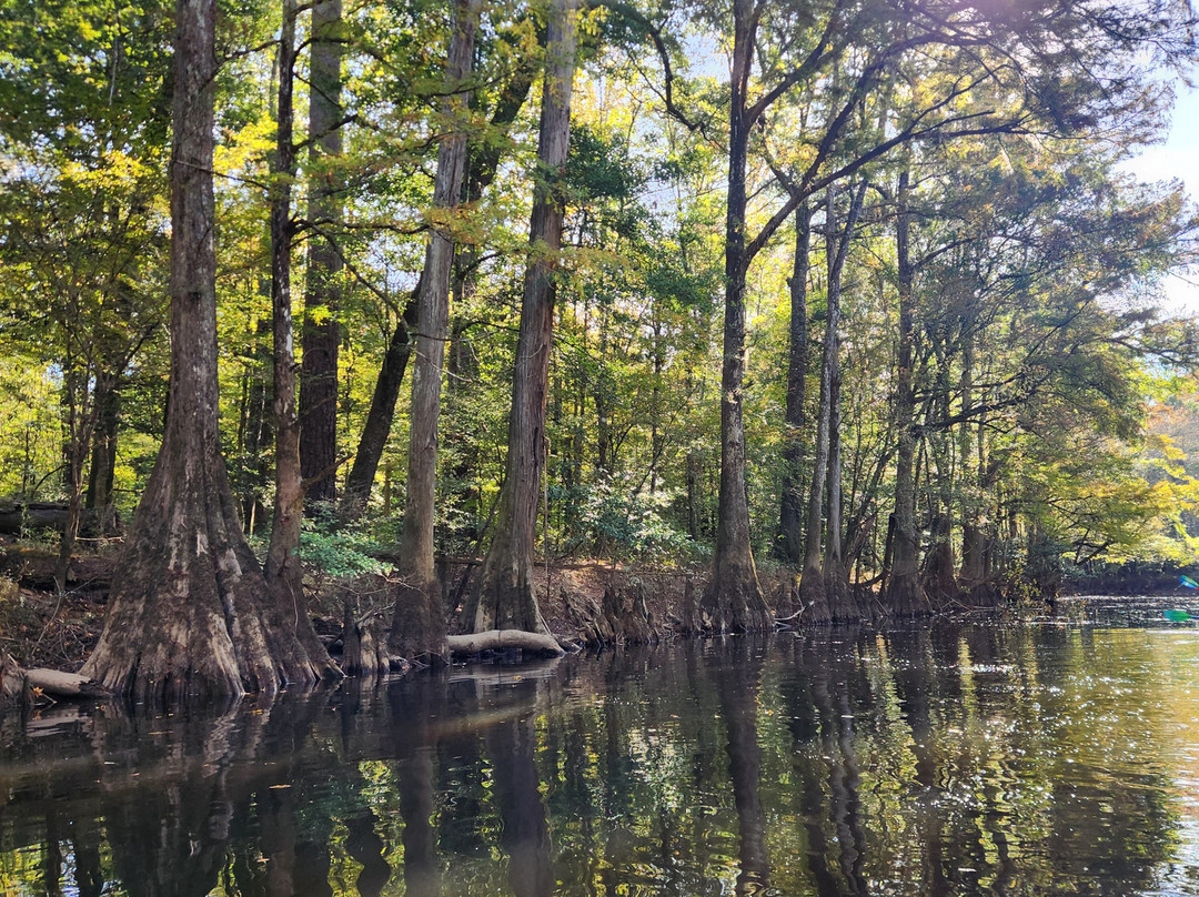 Carolina Outdoor Adventures-厄莫必去景点