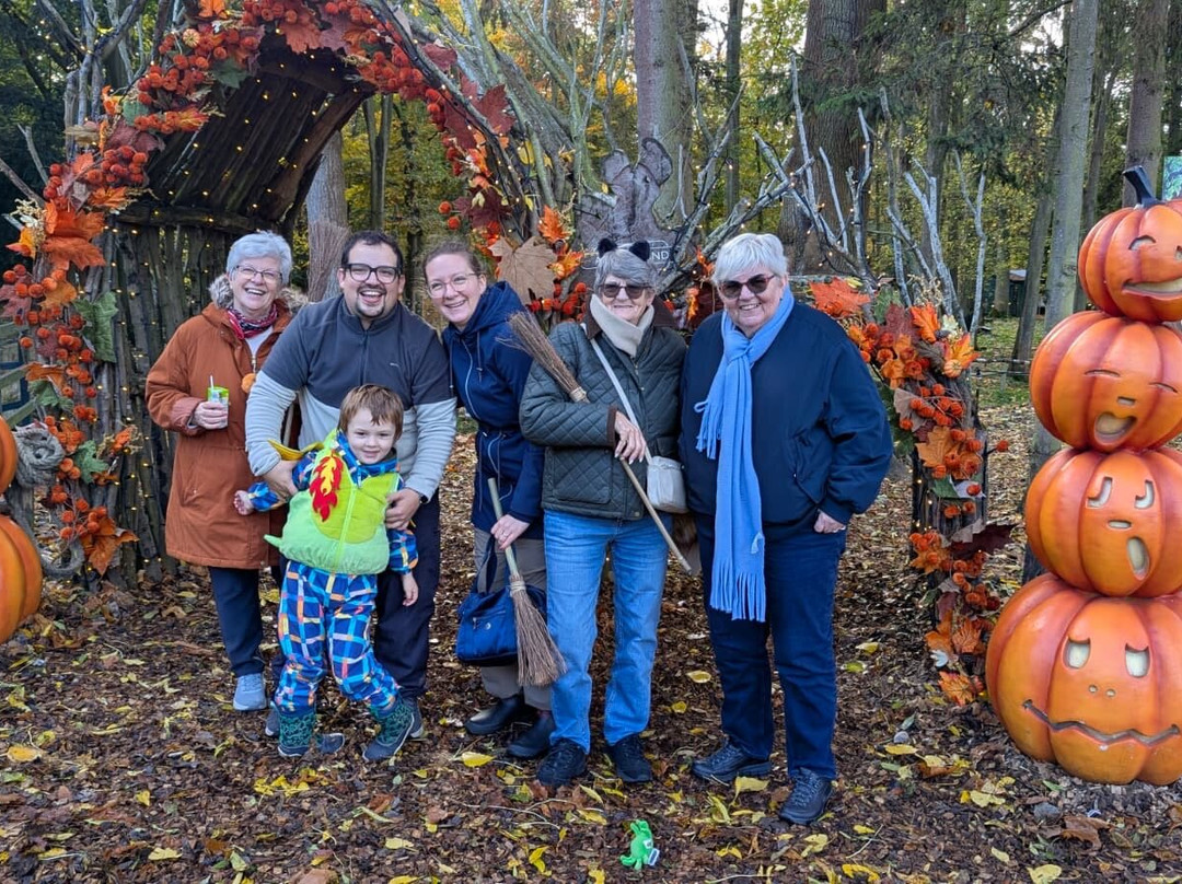 板球员纹章酒店主图