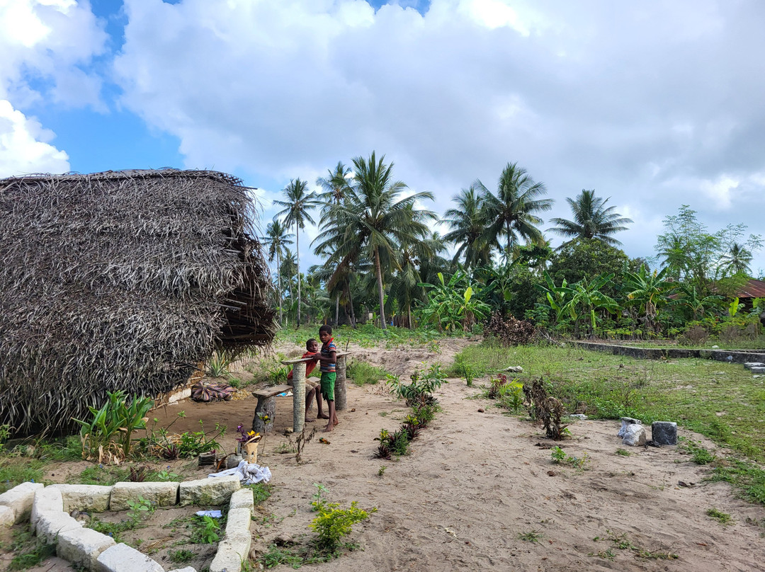 Afro Divers-奔巴岛必去景点